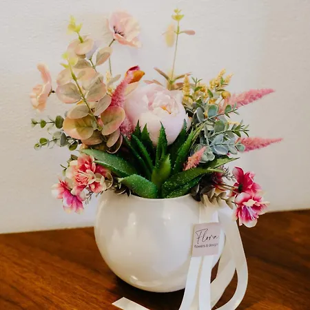 Kozina Апартаменты Меджугорье